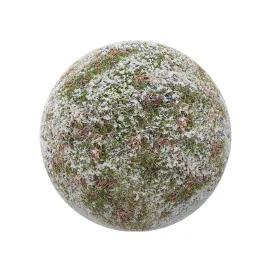 Grass with little snow 2